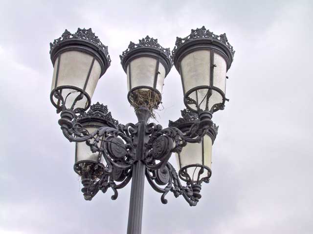 Lamp