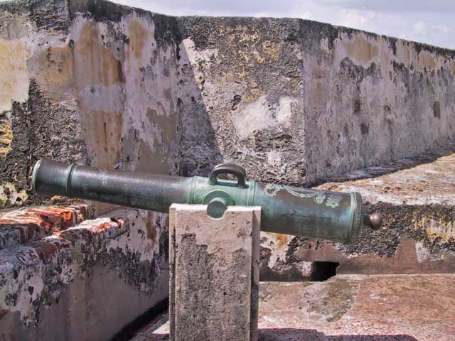 Cannon