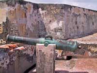 Cannon